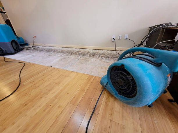 Professional Sewage Cleanup technician working in Belleville, IL